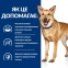 Hill's (Хиллс) Prescription Diet i/d Digestive Care (ActivBiome+) Лечебный корм для поддержания здоровья ЖКТ у собак с курицей и инновационной смесью пребиотических пищевых волокон 3