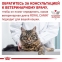 Royal Canin Gastro Intensial Moderate calorie (Роял Канин) влажный корм для кошек 85г 0