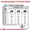 Royal Canin Sensitivity Control сухой корм для кошек  5