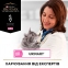 PRO PLAN Veterinary Diets UR Urinary сухий корм для котів при захворюваннях сечовивідних шляхів 4