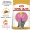 АКЦІЯ Royal Canin British Shorthair Kitten сухий корм для британських короткошерстих кошенят 2 кг + 12 пауків + схема 0