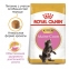 Royal Canin Maine Coon Kitten сухой корм для котят породы Мэйн Кун от 3 мес до 15 мес 1,6 кг+400г Акция 5