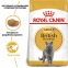 АКЦИЯ Royal Canin British shorthair корм для кошек британская короткошерстная 2 кг+ 4 паучи 0