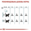 АКЦИЯ Royal Canin HAIRBALL CARE для выведения комочков шерсти набор корму для кошек 2 кг + 4 паучи 3