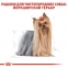 АКЦІЯ Royal Canin Yorkshire Terrier Adult набір корму для собак йоркширський тер'єр 1,5 кг+ 4 паучі 3