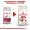 АКЦІЯ Royal Canin Fit 32 сухий корм для котів 2 кг + 12 пауків + схема 6