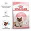 АКЦИЯ Royal Canin Mother&babycat сухой корм для котят и кошек в период лактации 8+2 кг 0