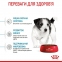 АКЦИЯ Royal Canin Mini Puppy набор корма для щенков 2 кг + 4 паучи 2