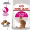 АКЦИЯ Royal Canin Exigent Savour для привередливых набор корму для кошек 2 кг + 4 паучи 0