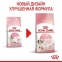 АКЦИЯ Royal Canin Kitten для котят на каждый день (до 12 месяцев) набор корму 2 кг + 4 паучи 0