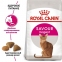 АКЦИЯ Royal Canin Exigent Savour сухой корм для привередливых кошек 4 кг + наполнитель Catsan 5л 0