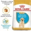 Royal Canin (Роял Канін) LABRADOR RETRIEVER Puppy для цуценят породи Лабрадор Ретривер 0