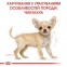 АКЦИЯ Royal Canin Chihuahua Puppy набор корма для щенков 1,5 кг + 4 паучи 3