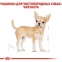 Royal Canin CHIHUAHUA ADULT сухой корм для собак породы Чихуахуа 2