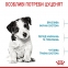 АКЦИЯ Royal Canin Mini Puppy набор корма для щенков 2 кг + 4 паучи 3