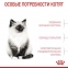 СТАРТОВЫЙ НАБОР Royal Canin Kitten Sterilised корм для котят  2