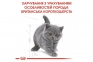 АКЦИЯ Royal Canin British Shorthair Kitten сухой корм для британских короткошерстных котят 8+2 кг 5
