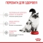 АКЦИЯ Royal Canin Mother&babycat сухой корм для котят и кошек в период лактации 8+2 кг 3