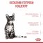 АКЦИЯ Royal Canin KITTEN STERILISED для стерилизованных котят набор корму 2 кг + 4 паучи 5