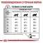 Royal Canin HEPATIC (Роял Канін) сухий корм при захворюваннях печінки у котів 5