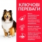 Hill's (Хіллс) Science Plan Sensitive Stomach&Skin Adult with Chicken Сухий корм для собак з чутливим шлунком і шкірою з куркою 0