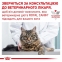 АКЦИЯ Royal Canin Sensitivity Control Chicken with rice влажный корм для кошек 8+4 по 85 г 2