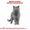 АКЦИЯ Royal Canin British Shorthair Adult Сухой корм для британских короткошерстных котов 8+2 кг 2