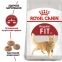 Royal Canin FIT 32 (Роял Канин) сухой корм для активных кошек 0