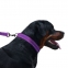 Поводок для собаки ACTIVE нейлоновый со светоотражением Фиолетовый 152 см 0