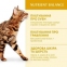 Акція! OptiMeal Chicken Nutrient Balance Cat Сухий корм для котів з куркою, 200 г + 100 г 2