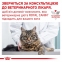 АКЦИЯ Royal Canin Diabetic при сахарном диабете набор корма для кошек 1,5 кг + 4 паучи 7