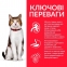 Hills (Хиллс) Feline Mature Adult 7+ Chicken 1.5кг сухой корм для кошек старше 7 лет с курицей 2