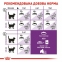 АКЦИЯ Royal Canin SENSIBLE чувствительное пищеварение набор корму для кошек 2 кг + 4 паучи 4