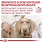 Royal Canin Urinary S/O Canine Ageing (Роял Канин) Влажный корм для мочевыделительной системы собак старше 7 лет 7+ 85г 0