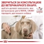 Royal Canin Urinary S / O Canine Ageing (Роял Канин) вологий корм для сечовидільної системи собак старше 7 років 7+ 85г 0