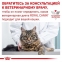 Royal Canin Gastro Intestinal cat (Роял Канін) вологий корм для кішок 85г 0