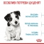 АКЦІЯ Royal Canin Mini Puppy сухий корм для цуценят малих порід 1,6 кг + 400 г 2