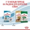 АКЦИЯ Royal Canin Mini Puppy набор корма для щенков 2 кг + 4 паучи 7