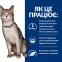 Hills PD Feline K/D сухий корм при хронічних захворюваннях нирок та серця у кішок 2