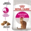 АКЦИЯ Royal Canin Exigent Savour сухой корм для кошек, привередливых к составу продукта 8+2 кг 0