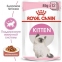Royal Canin KITTEN Gravy (Роял Канин) для кошенят шматочки в соусі 85г 1