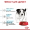 АКЦІЯ Royal Canin Mini Puppy сухий корм для цуценят малих порід 1,6 кг + 400 г 3