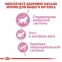 АКЦІЯ Royal Canin Kitten Sterilised сухий корм для стерилізованих кошенят 2 кг + 12 паучів + схема корму 4