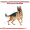 Royal Canin German Shepherd Adult 11кг Корм для дорослих собак породи німецька вівчарка 2