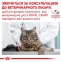 АКЦИЯ Royal Canin Gastrointestinal для кошек при расстройствах пищеварения набор корма 2 кг + 4 паучи 8