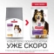 Hill's (Хіллс) Science Plan Sensitive Stomach&Skin Adult with Chicken Сухий корм для собак з чутливим шлунком і шкірою з куркою 4