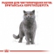 АКЦИЯ Royal Canin British shorthair корм для кошек британская короткошерстная 2 кг+ 4 паучи 3