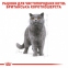 АКЦІЯ Royal Canin British shorthair корм для кішок британська короткошерста 2 кг+ 4 паучі 3