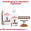 АКЦИЯ Royal Canin Gastrointestinal для кошек при расстройствах пищеварения набор корма 2 кг + 4 паучи 7