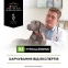 Pro Plan Veterinary Diets HA Hypoallergenic влажный корм для собак 195 г 3